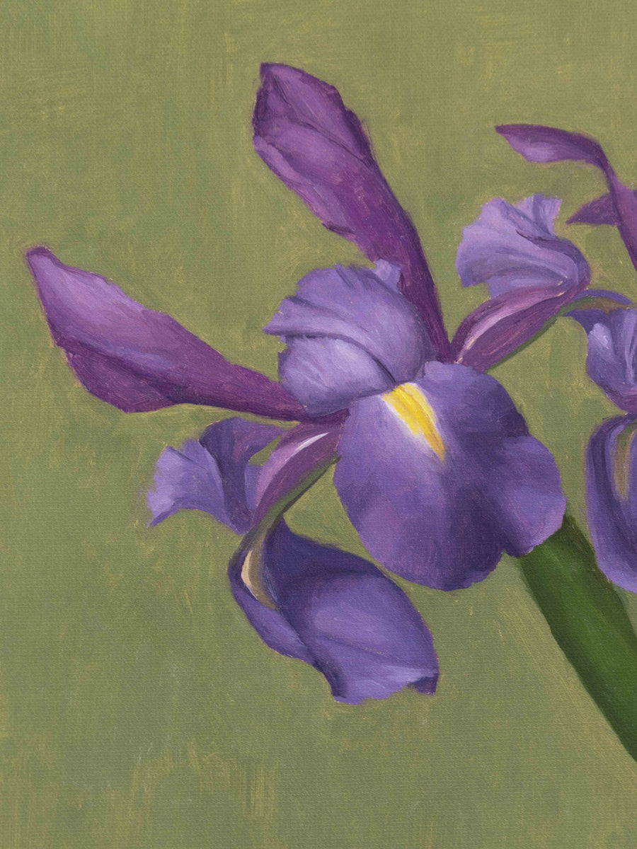 "Irises With Green Background" Fine Art Print