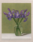"Irises With Green Background" Fine Art Print