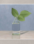 "Rose Leaves Glass Vase" Fine Art Print