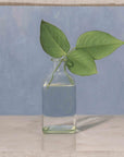 "Rose Leaves Glass Vase" Fine Art Print