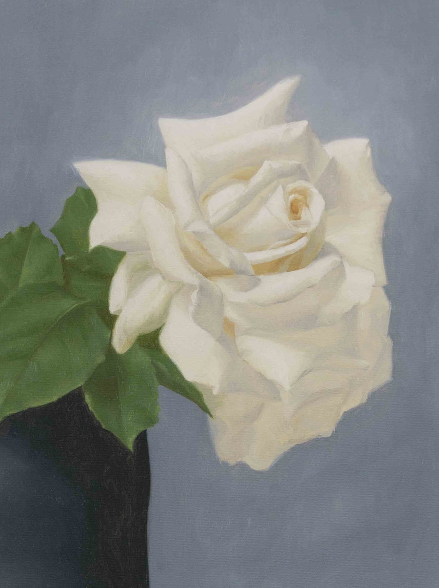 "White Rose in Black Vase" Fine Art Print