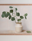 Fine art print framed hanging on a wall. The print shown is of a painting of Eucalyptus in a white vase with gold detail and a light background.
