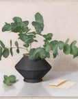 Fine art print of a still life painting of Eucalyptus in a black vase with a light background.