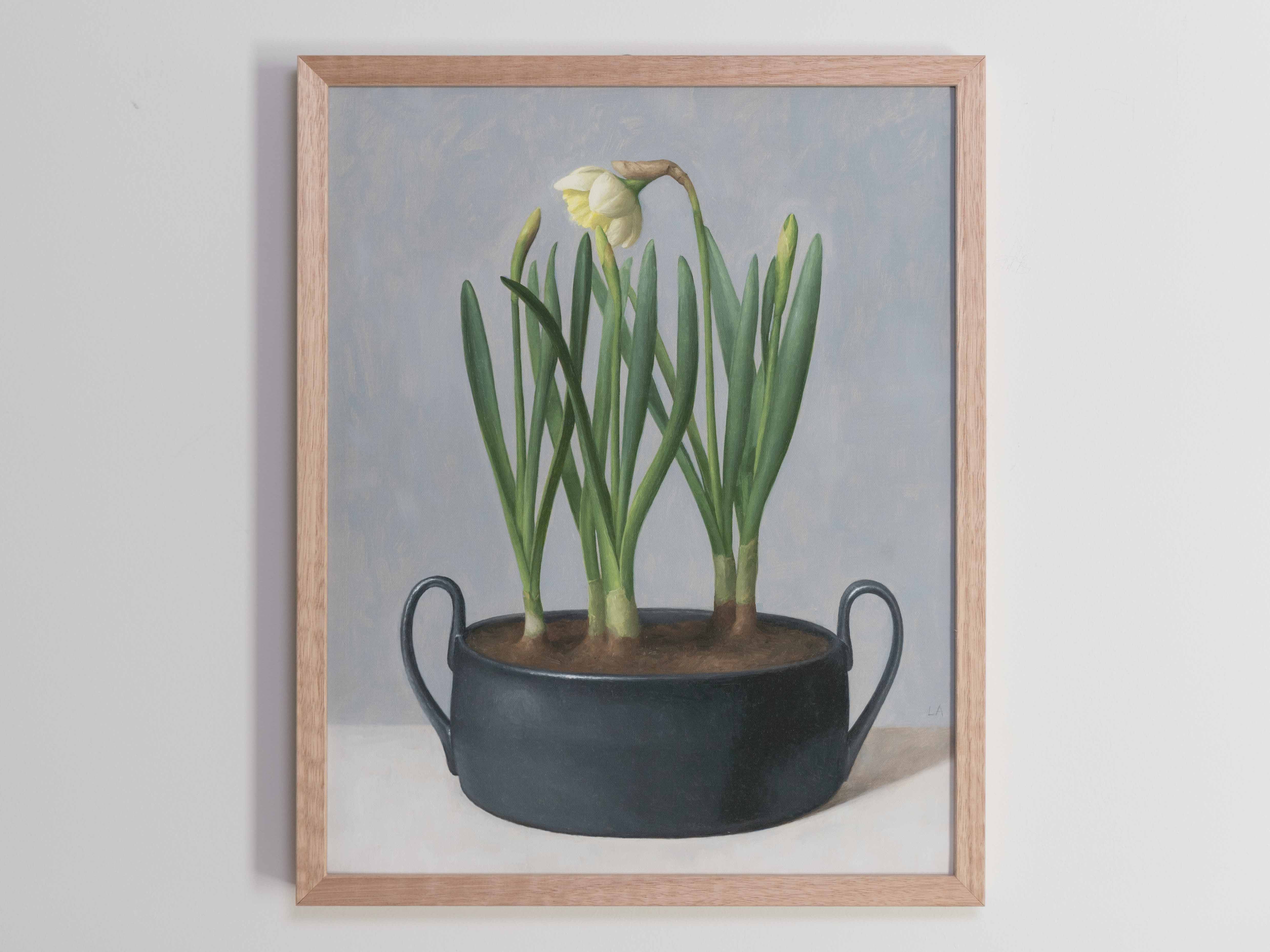 "Daffodil Black Pot" Fine Art Print