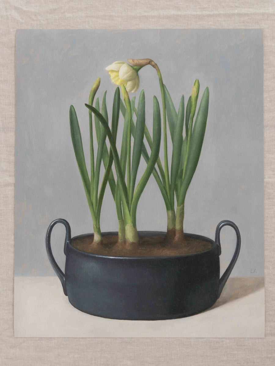 "Daffodil Black Pot" Fine Art Print