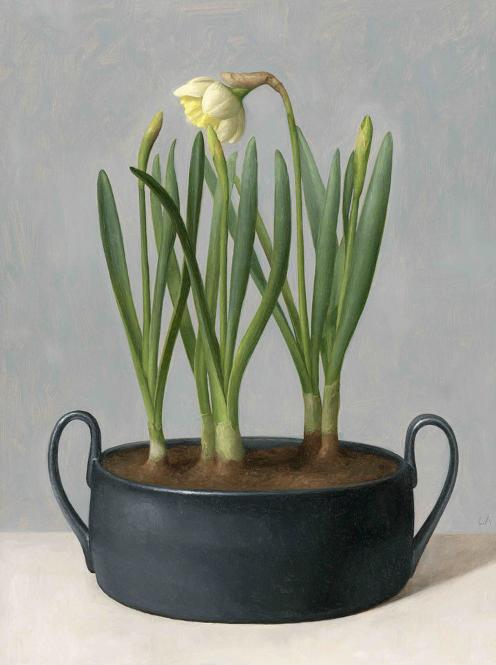 Painting of daffodil in black bowl, inspired by spring.