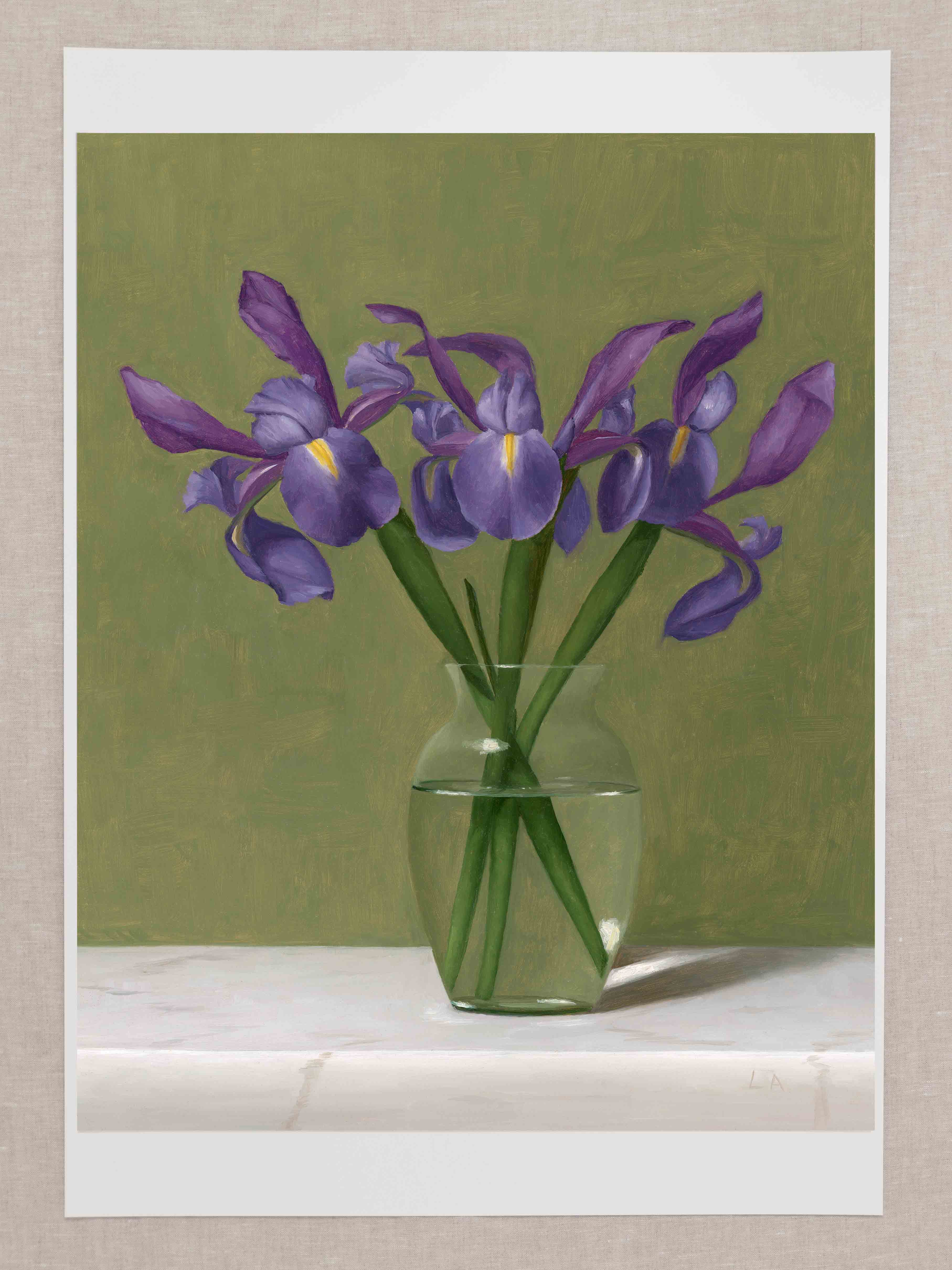 "Irises With Green Background" Fine Art Print