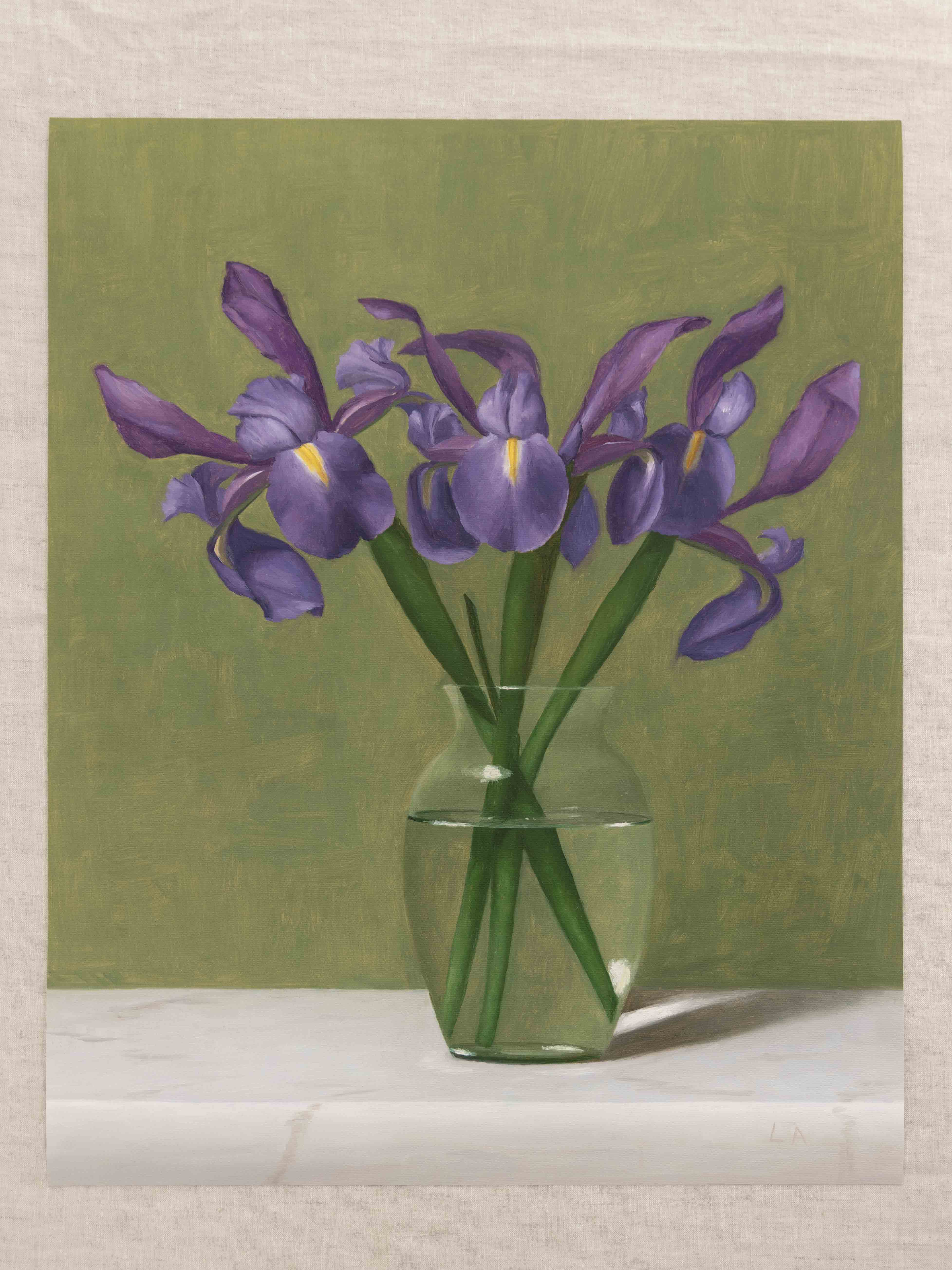 "Irises With Green Background" Fine Art Print