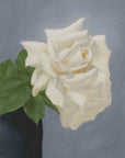 "White Rose in Black Vase" Fine Art Print