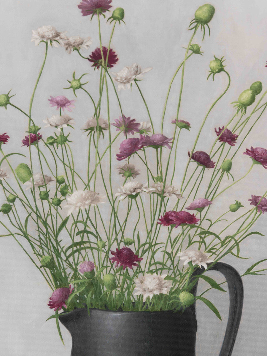 "Wild Scabious in Black Vase" Fine Art Print