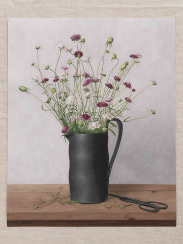 "Wild Scabious in Black Vase" Fine Art Print